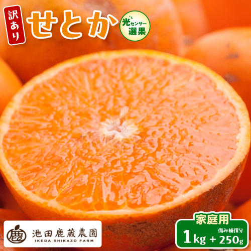 ［先行予約］家庭用 せとか1kg+250g（傷み補償分）［柑橘・春みかんの王様］［わけあり・訳あり］［光センサー選果・食べ頃出荷］［IKE118w］ 1190189 - 和歌山県有田川町
