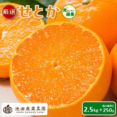 ［先行予約］厳選 せとか2.5kg+250g（傷み補償分）［柑橘・春みかんの王様］［光センサー選果・食べ頃出荷］［IKE61w］ 1190193 - 和歌山県有田川町
