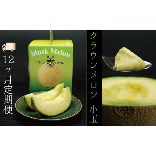 【12ヶ月定期便】クラウンメロン（白等級）小玉　１玉入 果物類 メロン青肉  119021 - 静岡県袋井市