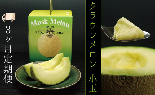 【3ヶ月定期便】クラウンメロン（白等級）小玉　１玉入  119022 - 静岡県袋井市