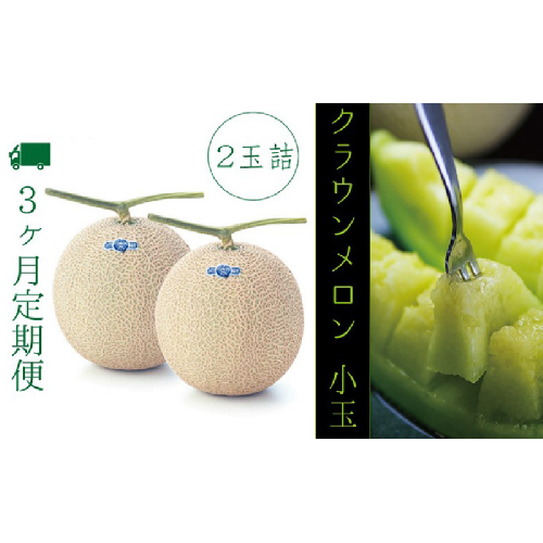 【3ヶ月定期便】クラウンメロン（白等級）小玉　２玉入　 果物類 メロン青肉  119023 - 静岡県袋井市