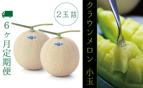 【6ヶ月定期便】クラウンメロン（白級級）小玉　２玉入 果物類 メロン青肉  119024 - 静岡県袋井市