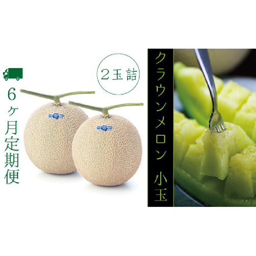 【6ヶ月定期便】クラウンメロン（白級級）小玉　２玉入 果物類 メロン青肉  119024 - 静岡県袋井市
