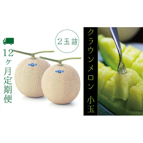 【12ヶ月定期便】クラウンメロン（白等級）小玉　２玉入 果物類 メロン青肉  119025 - 静岡県袋井市