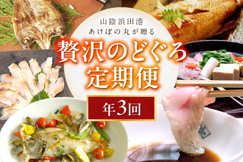山陰浜田港あけぼの丸が贈る贅沢のどぐろ定期便（3回）魚介 のどぐろ 一夜干し 刺し身 のどぐろしゃぶセット セット しゃぶしゃぶ 定期便 定期 3回 【146_2045】 1190707 - 島根県浜田市