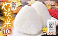米 令和5年産 コシヒカリ 10kg × 1袋 新庄やまびこ米（白米） [m23-a001]
