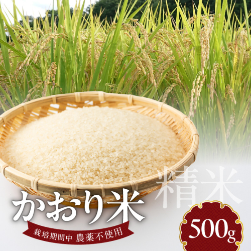 米 かおり米 500g N0182-YA0470 1190823 - 宮崎県延岡市
