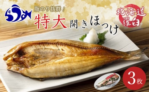 知床羅臼産特大開きほっけ(3枚) F21M-196 119089 - 北海道羅臼町