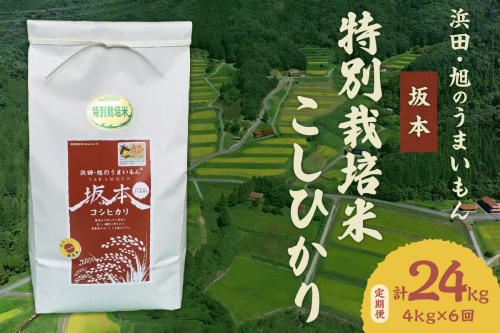 【定期便】【令和５年産】浜田・旭のうまいもん「坂本」特別栽培米こしひかり 4ｋｇ×6回 米 お米 こしひかり 特別栽培米 定期 定期便 6回 精米 白米 ごはん 新生活 応援 特産 【1021】 1191650 - 島根県浜田市