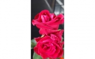 3ヶ月連続定期便！薔薇の花束 レッドエレガンス10本セット