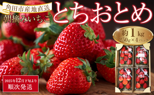 【先行予約】【角田市産地直送】朝摘みいちご「とちおとめ」合計約1kg（250g×4パック）｜配送不可地域：北海道・沖縄県・離島 1191938 - 宮城県角田市