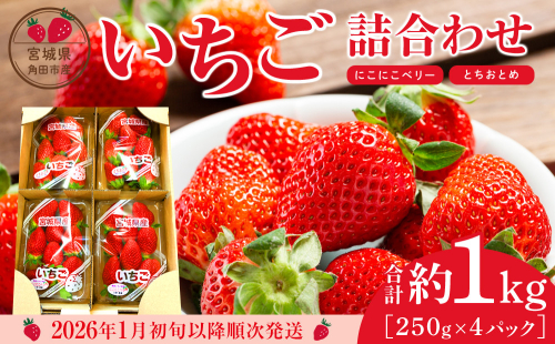 【先行予約】【JAみやぎ仙南】宮城県角田市産いちご　にこにこベリー・とちおとめ詰合せ　合計約1kg（250g×4パック） 1191943 - 宮城県角田市