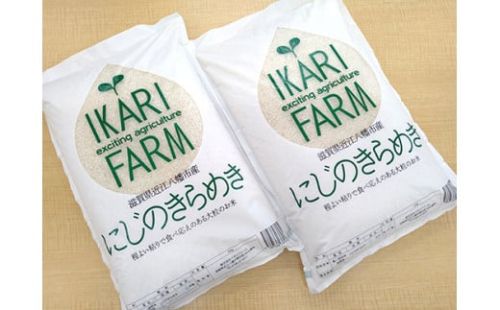 【新米】【7年産】にじのきらめき白米10kg（5kg×2袋）「大粒で食べ応えあり」【C060W】 1192038 - 滋賀県近江八幡市
