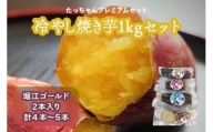 たっちゃんプレミアムセット 冷やし焼き芋1kgセット (4本〜5本 堀江ゴールド2本入り) [0240]