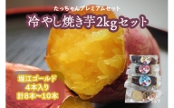 たっちゃんプレミアムセット 冷やし焼き芋2kgセット (8本～10本 堀江ゴールド5本入り) [0241]