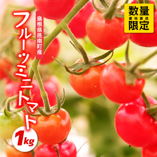 先行予約 数量限定!!うす皮フルーツミニトマト「華の妖精」1kg 119280 - 島根県邑南町