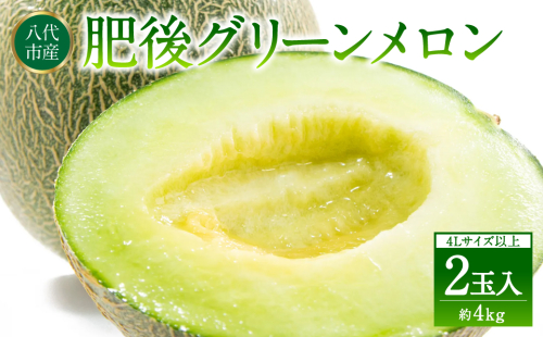 【先行予約】 熊本県八代市産 肥後グリーンメロン 4L以上 2玉 約4kg 果物 くだもの フルーツ 肥後グリーン メロン 青肉メロン 【2026年6月上旬より順次発送】 1193732 - 熊本県八代市