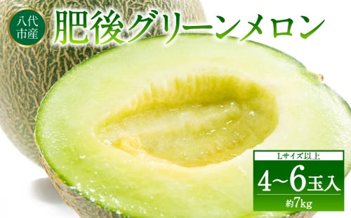 【先行予約】 熊本県八代市産 肥後グリーンメロン L以上  4～6玉 約7kg 果物 くだもの フルーツ 肥後グリーン メロン 青肉メロン 【2026年6月上旬より順次発送】 1193733 - 熊本県八代市