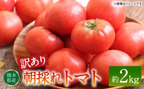 【訳あり】朝採れトマト 約2kg 熊本県 八代市産 1193746 - 熊本県八代市