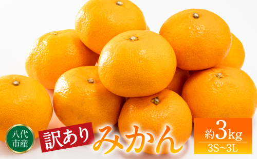 【訳あり】みかん 家庭用 (3S～3Lサイズ) 約3kg 八代市産 熊本 ご家庭用 蜜柑 ミカン 柑橘 くだもの 果物 フルーツ デザート 1193750 - 熊本県八代市