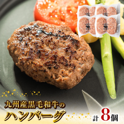 九州産黒毛和牛のハンバーグ(100g×2個入り)×4パック N0105-YZA2219 1193888 - 宮崎県延岡市