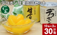 【1ヶ月毎3回定期便】 デコポン甘夏缶詰セット 10缶入（各5缶）×3回 果物 柑橘 フルーツ