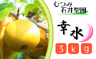 【むつみ石井梨園】松戸の新鮮もぎたて梨「幸水」3kg