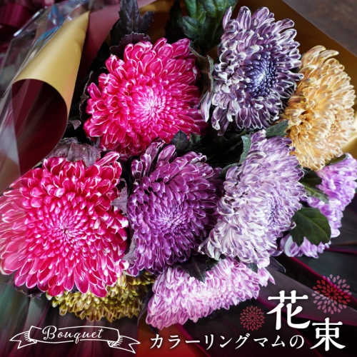 【おしゃれな染花】シックな色合いのカラーリングマムの花束 H092-056 1194548 - 愛知県碧南市