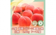 山梨 萩原フルーツ農園の桃(白桃) 2.8kg(7～12個入)【1477611】