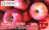 【先行受付/2024年10月出荷開始】仁木町の採れたてりんご「昴林（こうりん）」4.5kg［妹尾観光農園］ 北海道 果物 フルーツ リンゴ