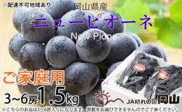 配達不可：北海道・沖縄・離島 ニューピオーネは岡山生まれの種なし葡萄です。食べ応え抜群の大粒、芳醇で溢れるほどの甘い果汁と16度を超える高い糖度、それを引き立てるわずかな酸味との絶妙なバランス。しかも