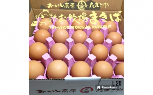 おいし高原　庭さき卵Lサイズ20個入り 1195254 - 和歌山県有田川町