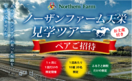 月1回限定開催 ノーザンファーム天栄見学ツアー ペア招待（2026年6月分） UMAJO 期間限定 東北 福島県 天栄村 競馬 ノーザン 応援 思い出 記念 F21T-398