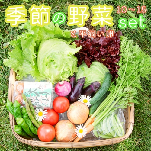季節の野菜と卵セット 旬野菜10～15種類と平飼い卵の詰め合わせ