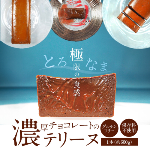 【テリーヌ専門店L】（約６００g）濃厚チョコレートのテリーヌ【グルテンフリー・保存料不使用】ショコラ スイーツ チョコレート H173-008 1195912 - 愛知県碧南市
