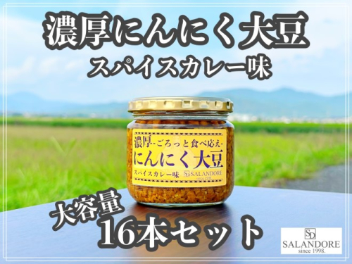 大容量 濃厚 にんにく大豆 スパイスカレー味 16本 セット  1195924 - 福岡県朝倉市