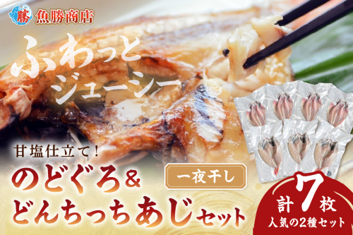 甘塩仕立て！のどぐろ・どんちっちあじ一夜干しセット 人気のセット 魚介類 魚貝類 お中元 干物 干もの 一夜干し 御中元 御歳暮 ギフト 新鮮 厳選 海鮮 個包装 セット 詰め合わせ 【136_1993】 1196142 - 島根県浜田市