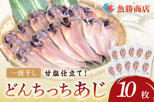 どんちっちあじ一夜干し10枚セット 魚介類 魚 干物 一夜干し あじ 鯵 セット 【136_1970】 1196143 - 島根県浜田市
