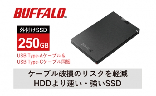 BUFFALO/バッファロー ポータブルSSD TypeA&C 250GB 119644 - 愛知県日進市