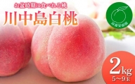 福島の桃 お盆時期に食べれる桃「川中島白桃」2kg（5～9玉）先行予約 フルーツ 果物 もも モモ momo F20C-831