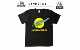 【ふるさと納税】恐竜・古代生物Tシャツ ジェケロプテルス サイズXL（レギュラー）
