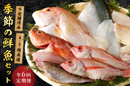 【定期便】季節の鮮魚セット年6回コース 定期便 6回 鮮魚 お任せ お取り寄せ 魚介 鮮魚 セット 下処理済み 【096_1695】 1197087 - 島根県浜田市