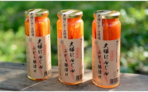 大塚人参ぶどう酢漬け　200ｇ　10本セット [5839-1514] 119708 - 山梨県市川三郷町