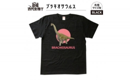 【ふるさと納税】恐竜・古代生物Tシャツ ブラキオサウルス 043 サイズ160（キッズ・ユニセックス）