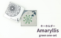 【ふるさと納税】MZ-2-c Amaryllis green one-set