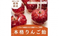 こだわり厳選された高級りんごを使用した本格りんご飴　5個【1468646】