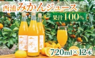 【価格改定予定】果汁 100％  みかん ジュース  720ml × 12本 西浦 オレンジ 飲み物 静岡 沼津