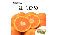 【先行予約】【2024年12月下旬頃発送】はれひめ 約5kg 愛媛県産 柑橘 みかん サイズおまかせ 万田酵素 MARUTAMA果樹園 玉井農園 愛媛県 松山市