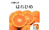 【先行予約】【2024年12月下旬頃発送】はれひめ 約2.5kg みきゃん箱入 愛媛県産 柑橘 みかん 贈答 可愛い 愛媛県 松山市