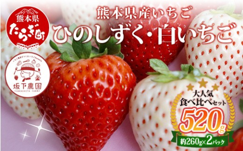 【旬】熊本県産 いちご【ひのしずく・白いちご】食べ比べセット 約260g×2パック   ≪ 苺 イチゴ 数量限定 坂下農園 イチゴ 2パック 苺 フルーツ 果物 春 名産 熊本 多良木町 ビタミン 旬 先行予約 ≫103-0007